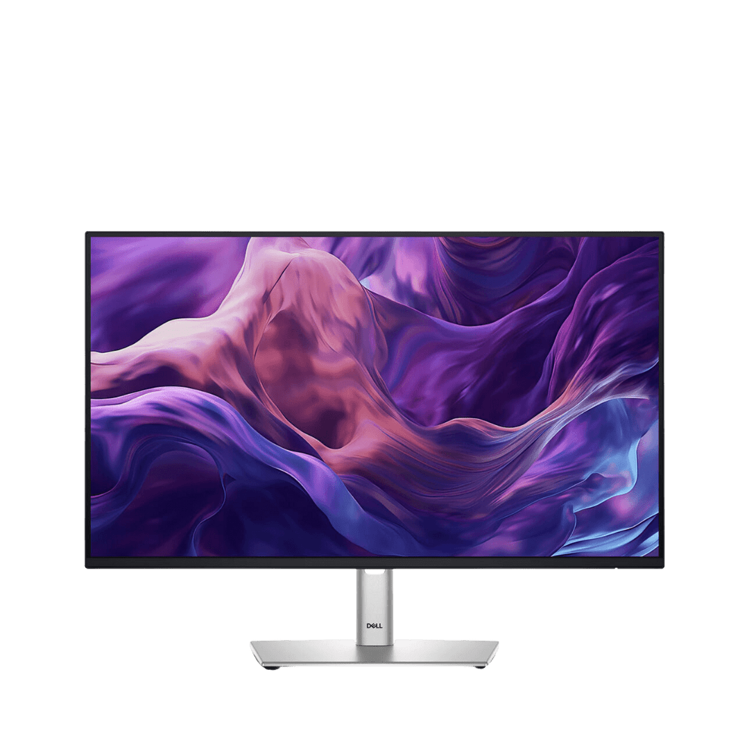 dell pro 24 plus monitor p2425h