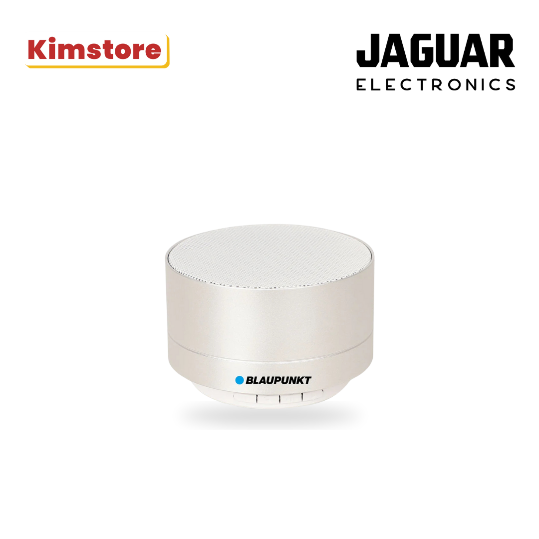 Blaupunkt Aluminum BT Speaker with LED