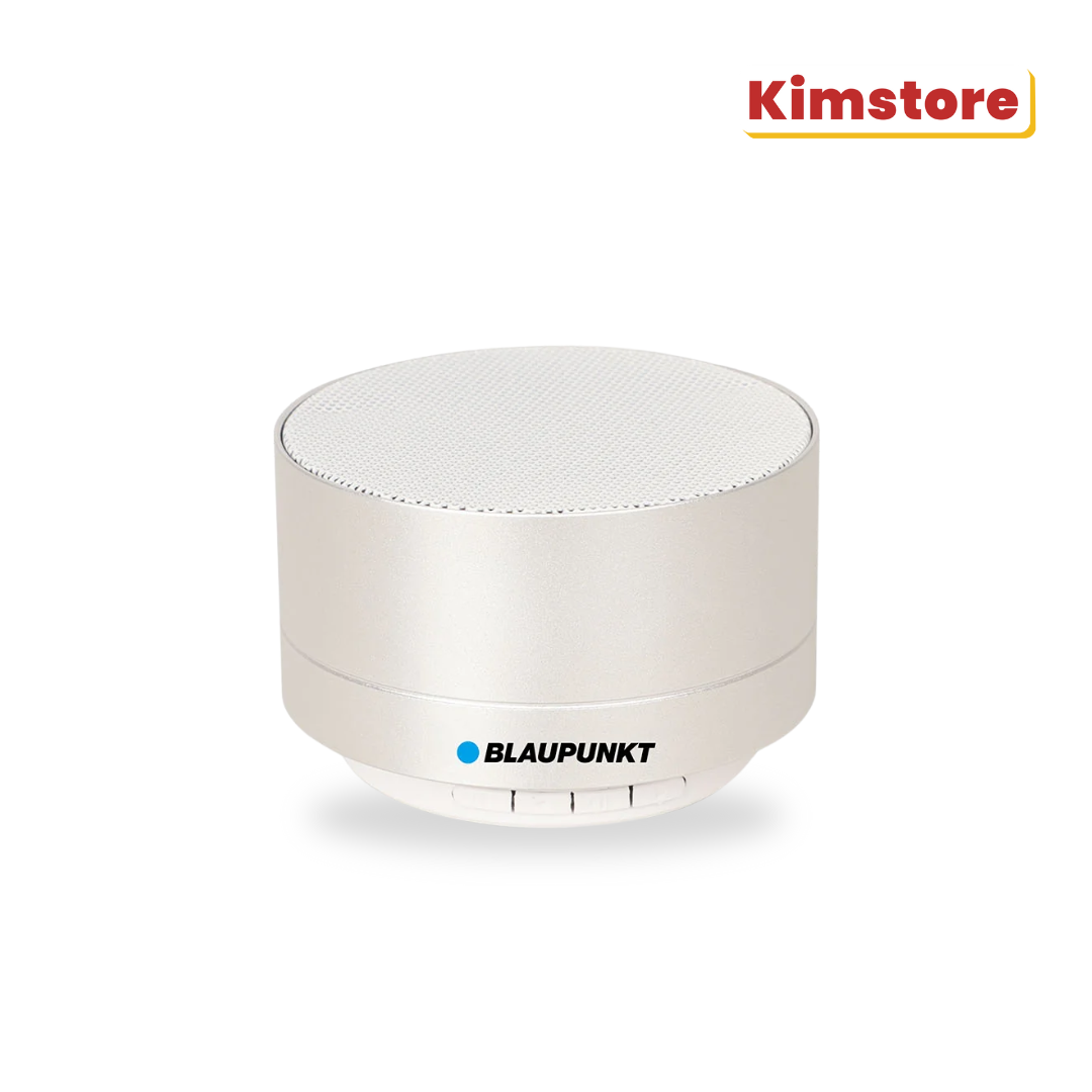blaupunkt aluminum bt speaker with led    gray