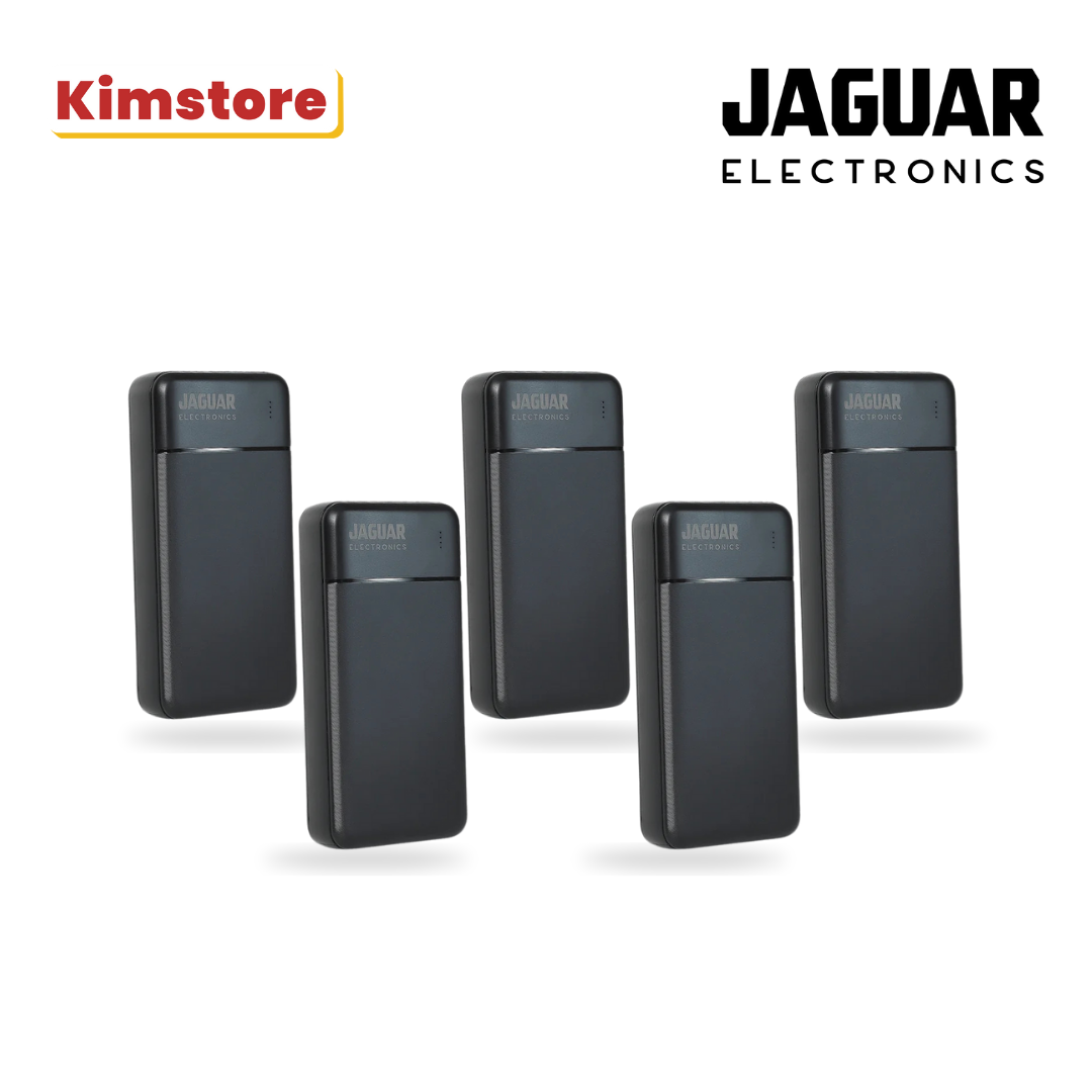 B1T4: Jaguar Electronics