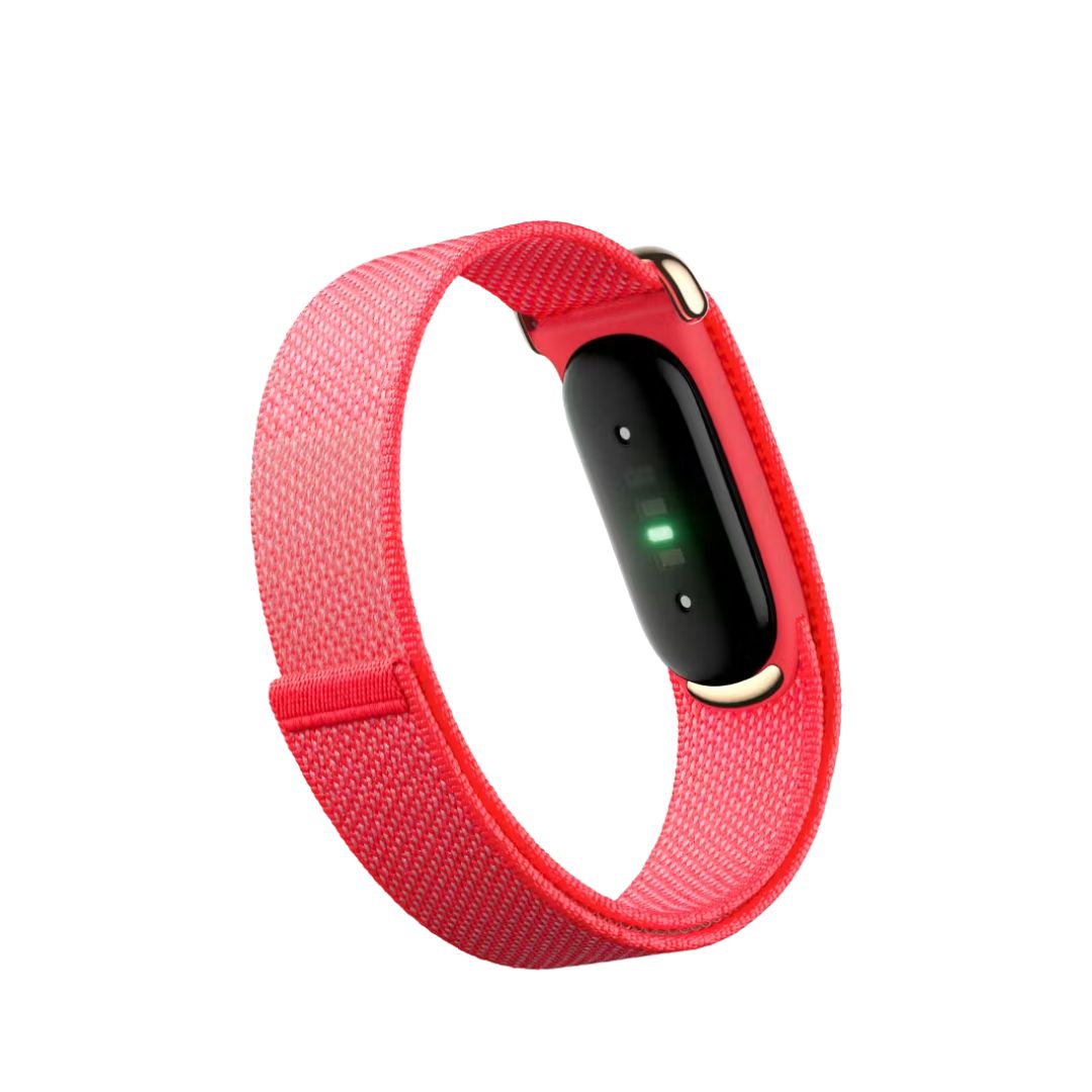 Google Fitbit Air