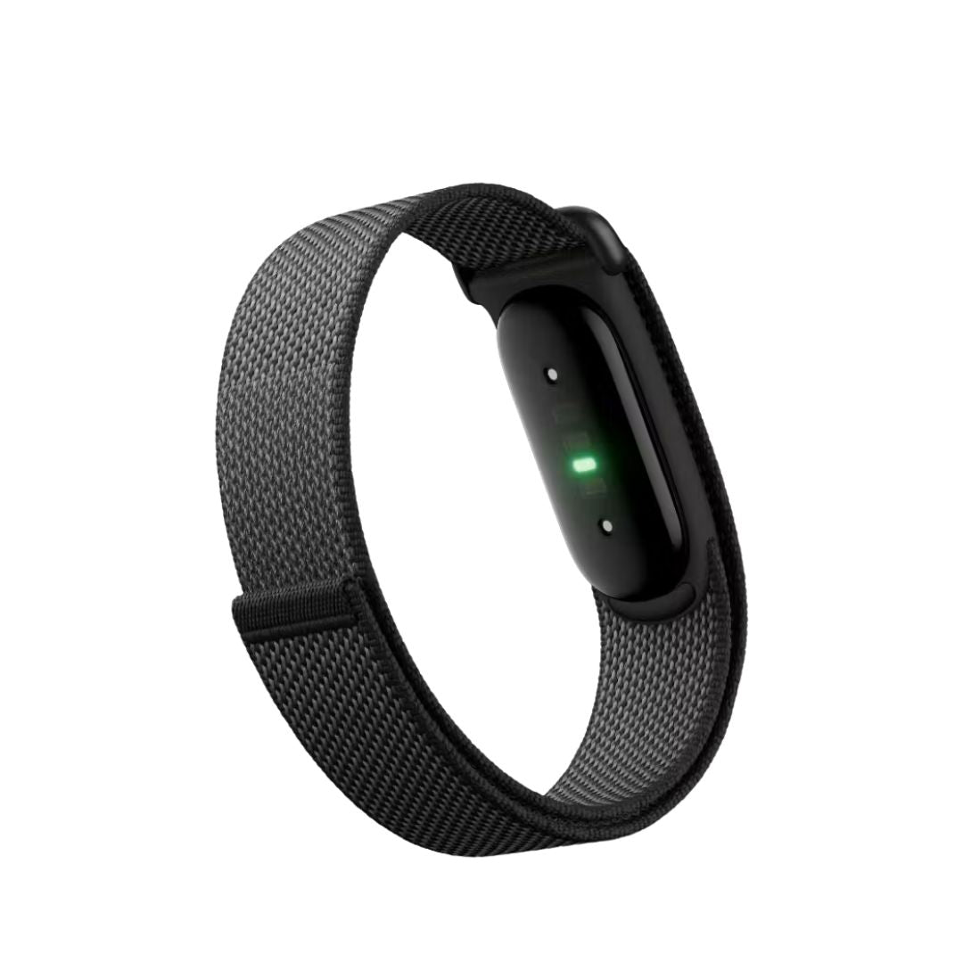 Google Fitbit Air