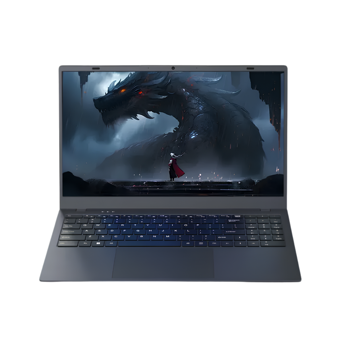 Ningmei NL100P-N50165A 15.6'' FHD LED IPS Intel N5095