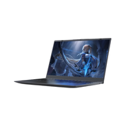 Ningmei NL100P-N50165A 15.6'' FHD LED IPS Intel N5095
